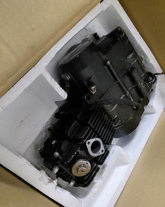 motore pitbike 125