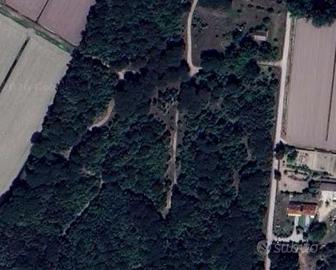 Appartamento a Chioggia (VE)