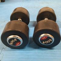 Coppia manubri palestra  34kg