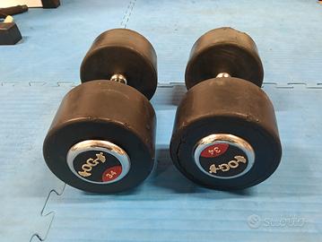 Coppia manubri palestra  34kg