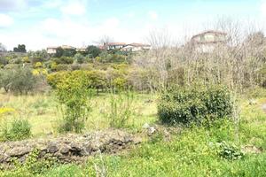 Industriale a Mascalucia