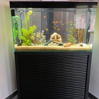 Acquario Askoll 200l