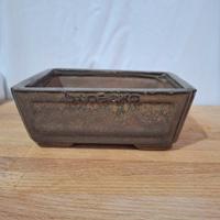 Vaso bonsai 