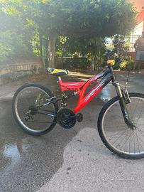 Bicicletta con marce