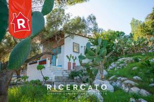 Grazioso bilocale fronte mare con ampio giardino