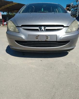 RICAMBI AUTO Peugeot 307 anno 2003 5 p