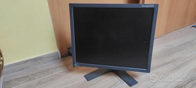 Monitor Eizo CG19