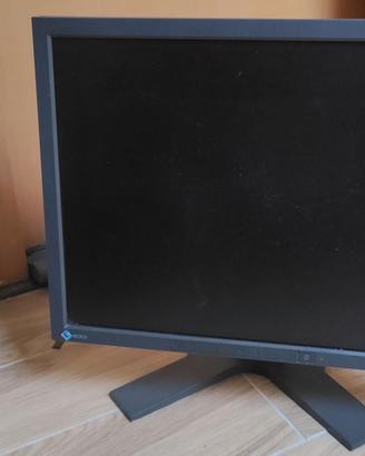 Monitor Eizo CG19