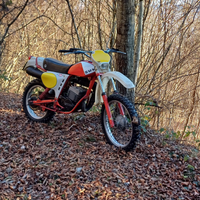 Swm rs 250 gs