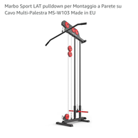 Lat Machine con pulley