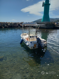 Barca Open compreso carrello stradale