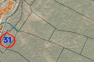 Terreno uliveto e bosco