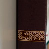 "I Cercatori di Conchiglie"(1988)