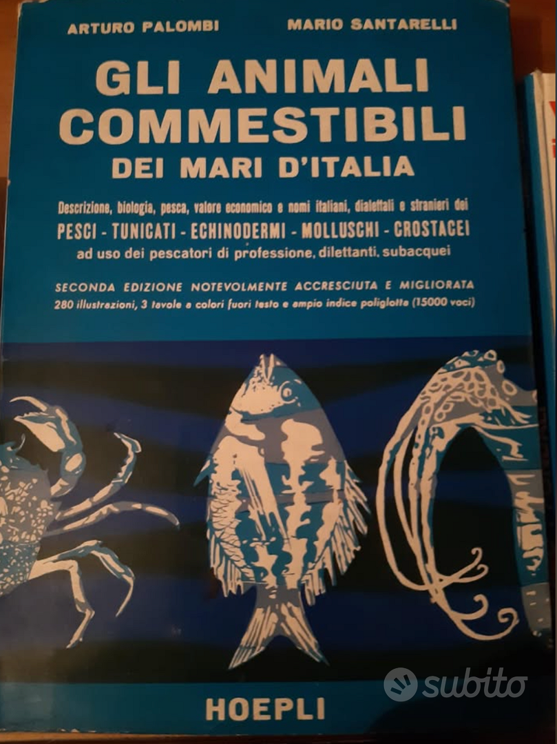 Lot De 4 Vieux Livres De Pêche Sportive Des Années 70/80 - Vintage