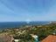 Immagine 8