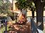 Immagine 20