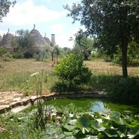 Trullo in Valle d'Itria