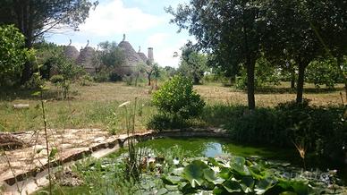 Trullo in Valle d'Itria