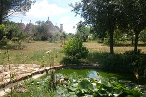 Trullo in Valle d'Itria