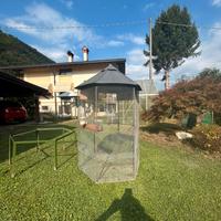 Voliera