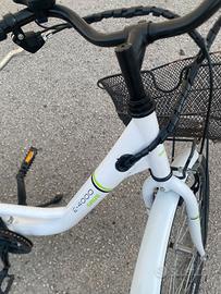 bicicletta elettrica 