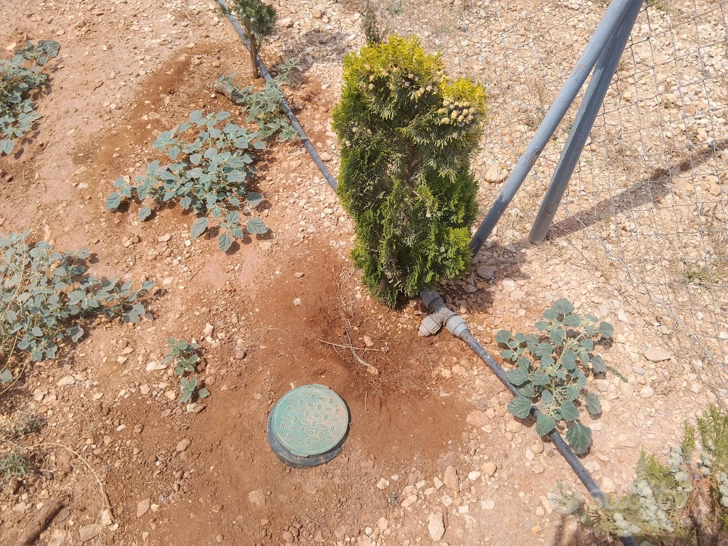 Terreno agricolo, zona Porto Cesareo - Altro
