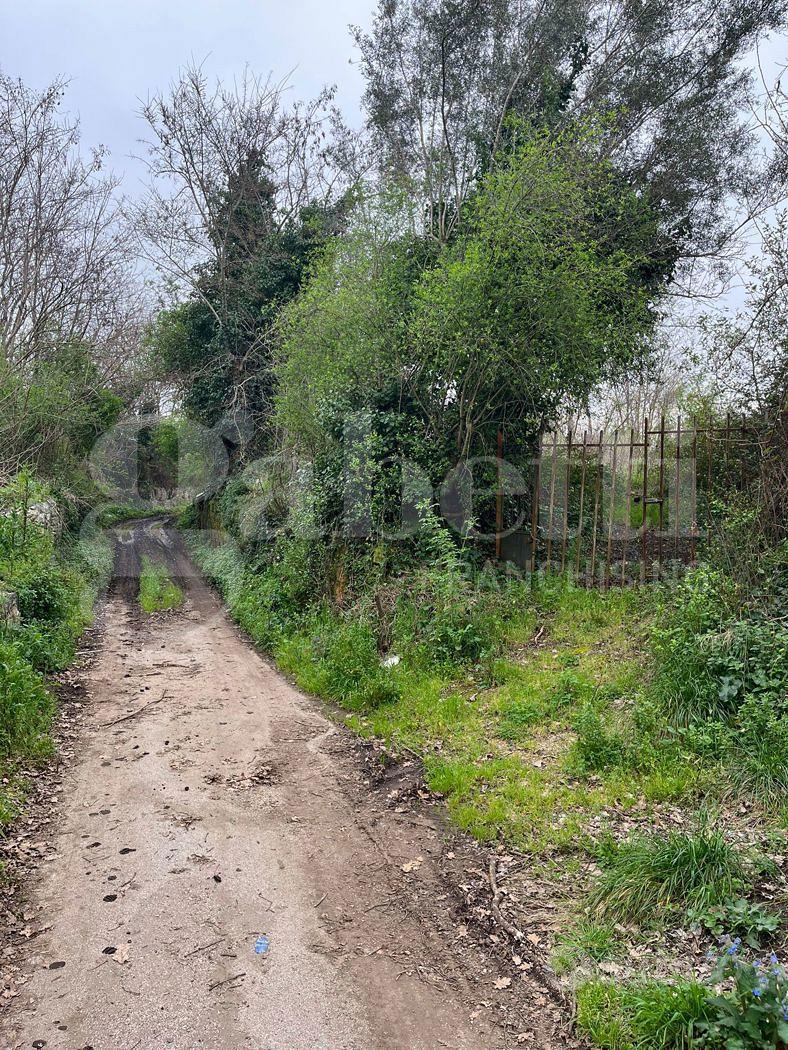 Terreno Agricolo Camigliano [Cod. rif 3298000VCG] - Vista 4
