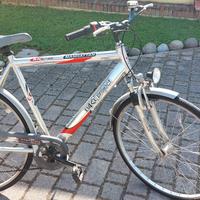 bicicletta da uomo