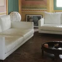 Coppia di divani design