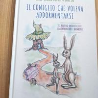 Il coniglio che voleva addormentarsi 