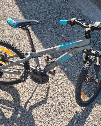 bicicletta scott JR 24