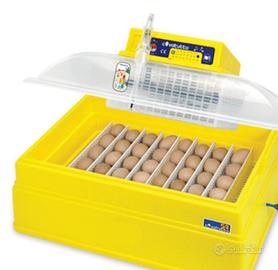 Incubatrice Covatutto 54 Novital