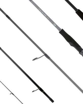 Canna spinning daiwa exceler