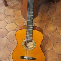 chitarra toledo