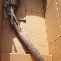 Scarico originale audi A3  2.0 TDI (8P) anno 2009