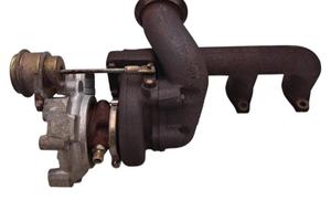 turbina daily 