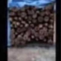 Palli in legno di castegno