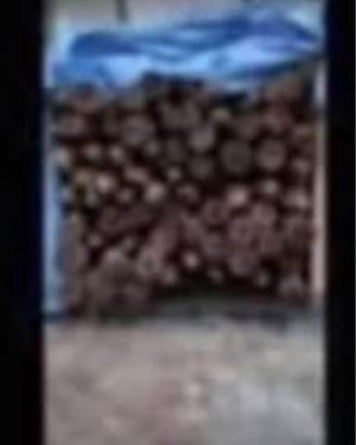 Palli in legno di castegno