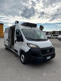 NEW FIAT DUCATO 2.2 140cv L3H2 FRIGO 2023