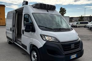 NEW FIAT DUCATO 2.2 140cv L3H2 FRIGO 2023