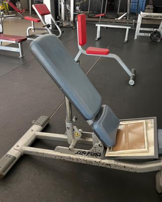 Panca life fitness