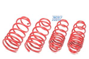 KIT MOLLE SPORTIVE PER PORSCHE