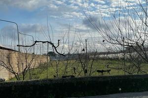 Terreno F1 Parcheggio, Ludoteca, Palestra