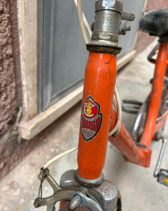Bici 20 pollici chiorda
