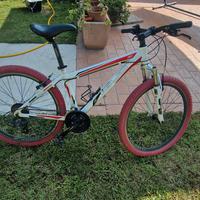 bicicletta da ragazzo