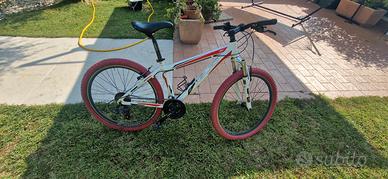 bicicletta da ragazzo