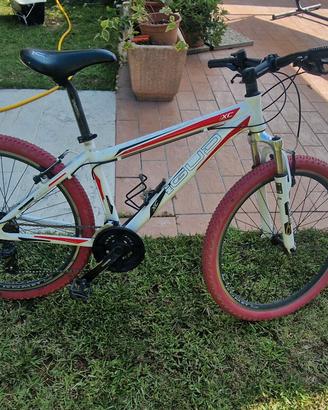 bicicletta da ragazzo