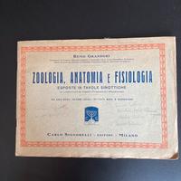 Zoologia, anatomia e fisiologia