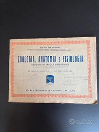 Zoologia, anatomia e fisiologia