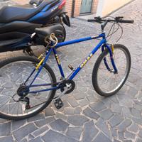 Bici mountain bike omas